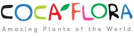 Sklep z roślinami CocaFlora