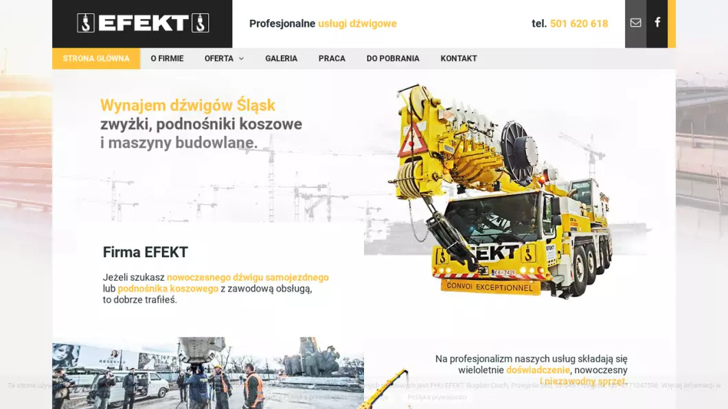 Dźwigi  i Zwyżki  EFEKT